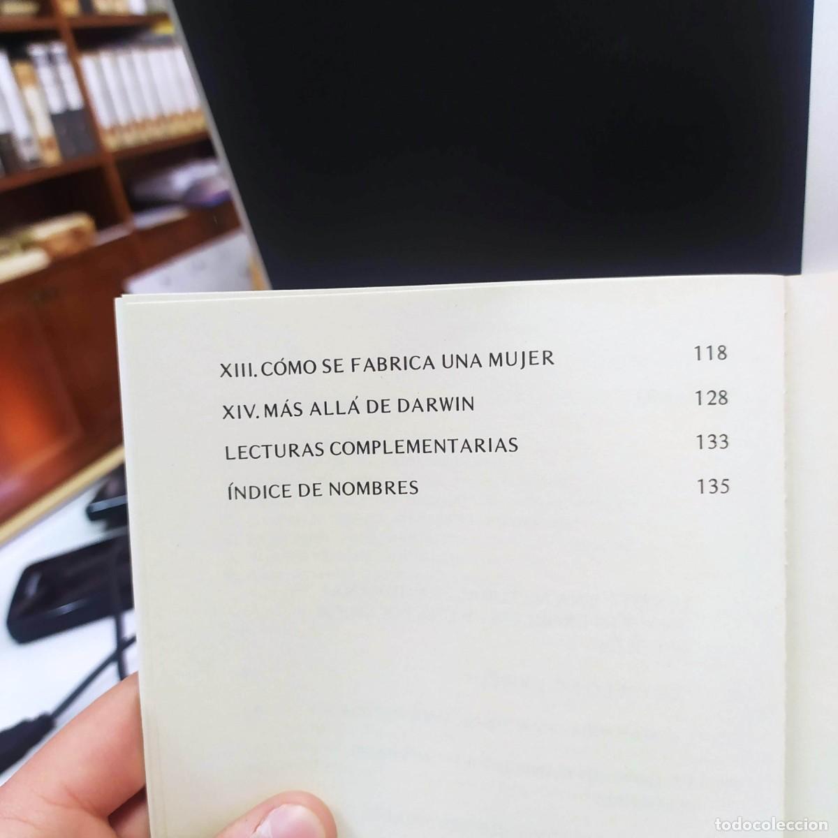 Libros: El mono y las estrellas - Lia Formigari - Ediciones del Serbal, 1984 - Foto 3