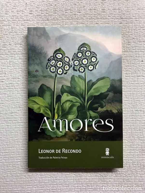 Libros: Amores - Leonor de Recondo - Foto 1