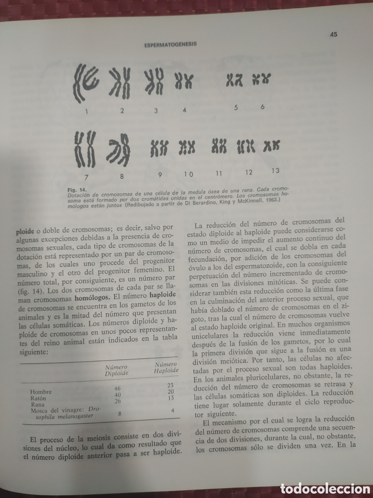 Libros: Introducci&oacute;n a la embriolog&iacute;a - Foto 2