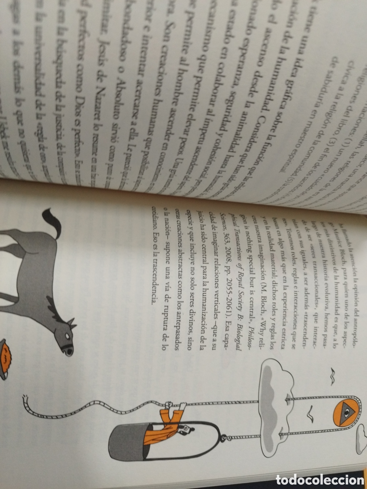 Libros: HISTORIA VISUAL DE LA INTELIGENCIA. De los or&iacute;genes de a humanidad a la inteligencia artificial - MA - Foto 6