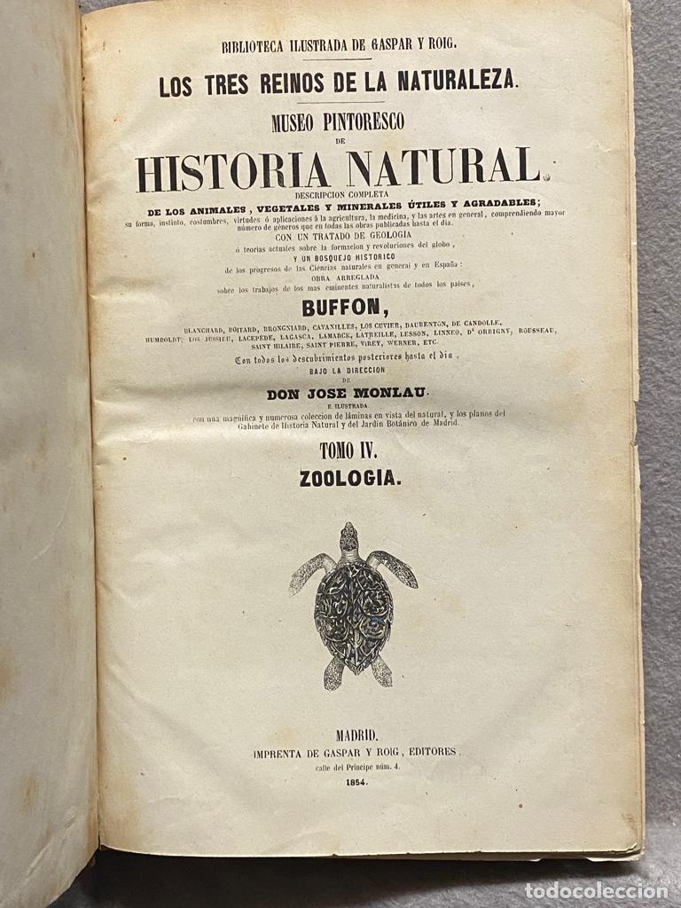 Libros: MUSEO PINTORESCO DE HISTORIA NATURAL. Tomo IV. Zoolog&iacute;a. Reptiles. - LECLERC, GEORGE LOUIS - CONDE D