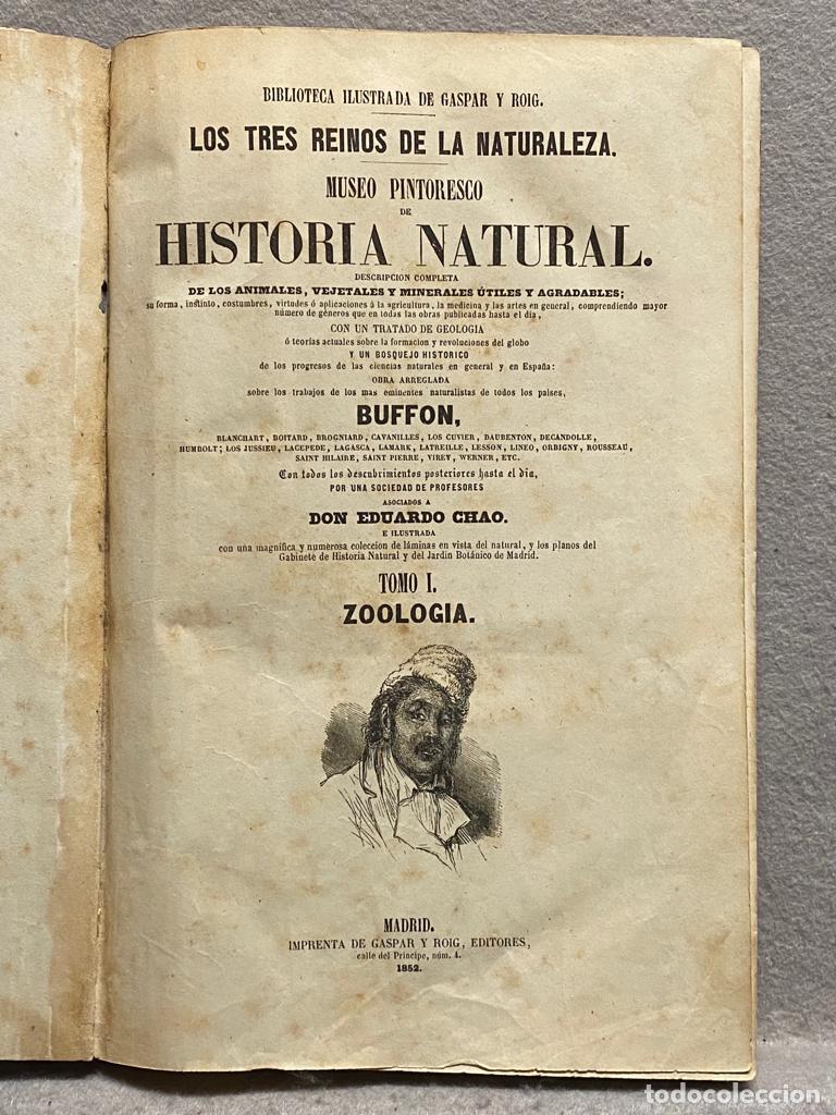 Libros: MUSEO PINTORESCO DE HISTORIA NATURAL. Tomo I. Zoolog&iacute;a. Mam&iacute;feros - LECLERC, GEORGE LOUIS - CONDE DE