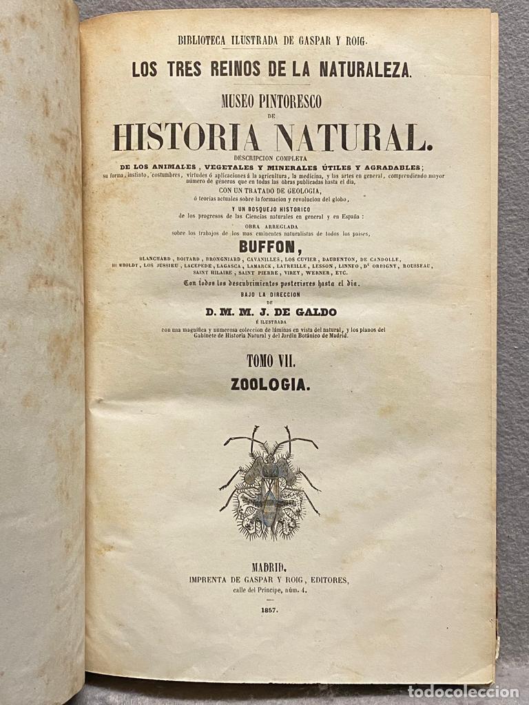Libros: MUSEO PINTORESCO DE HISTORIA NATURAL. Tomo VII. Zoolog&iacute;a. Miri&aacute;podos, ar&aacute;cnidos, crust&aacute;ceos y ann&eacute;li