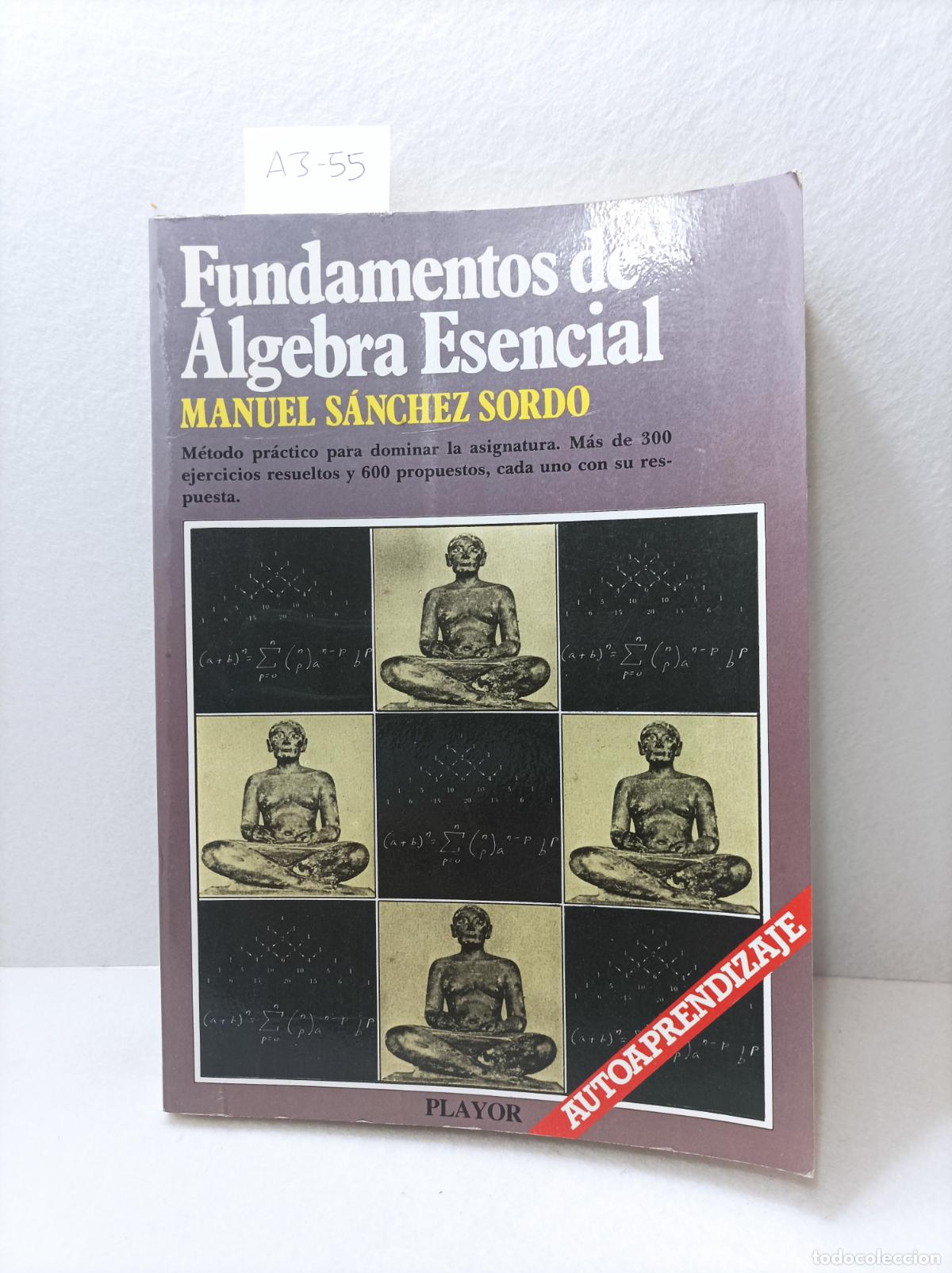 Libros: S&Aacute;NCHEZ SORDO, Manuel: - Fundamentos de &aacute;lgebra esencial. - Foto 1
