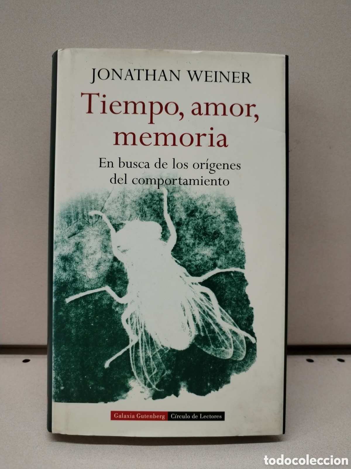 Libros: Tiempo, amor, memoria - Weiner, Jonathan - Foto 1