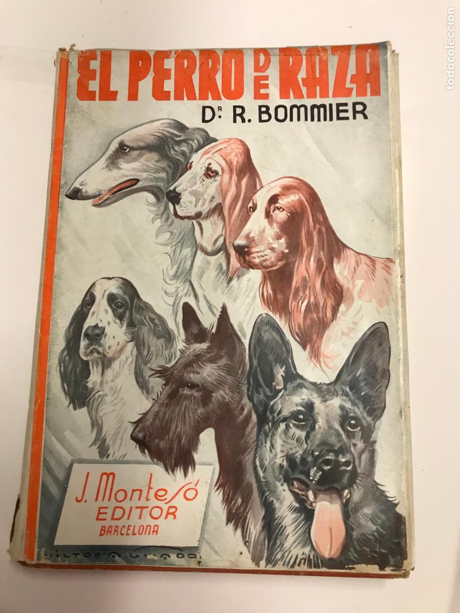 Libros: EL PERRO DE RAZA. - R. BOMMIER. - Foto 1