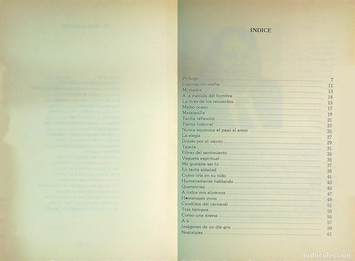 Libros: TRANSPARENCIAS - JOSEFA FRANCO C&Aacute;RDENES - 2008 - CANARIAS - Foto 2