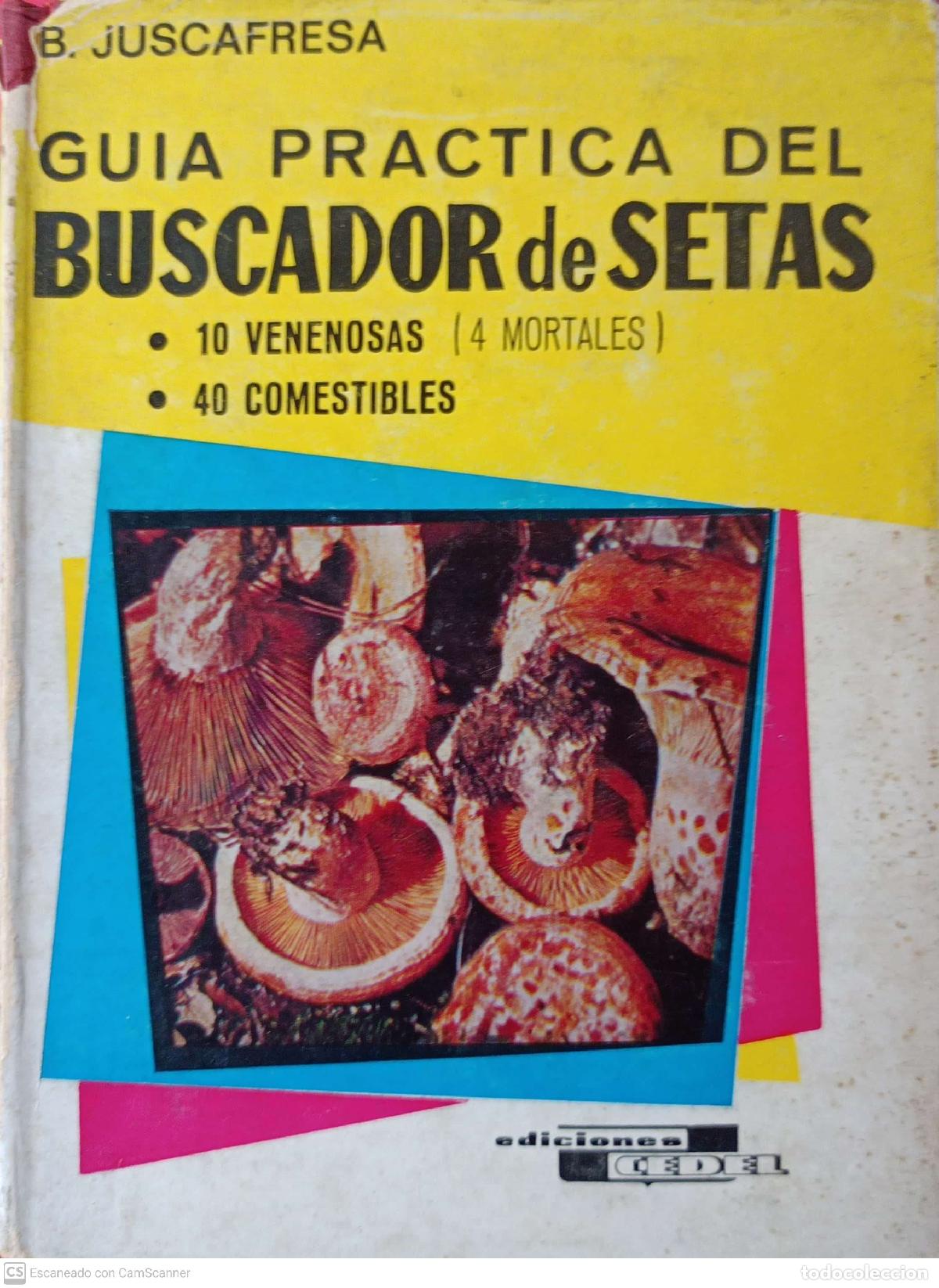 Libros: Gu&iacute;a pr&aacute;ctica del buscador de setas - B. Juscafresa - Foto 1