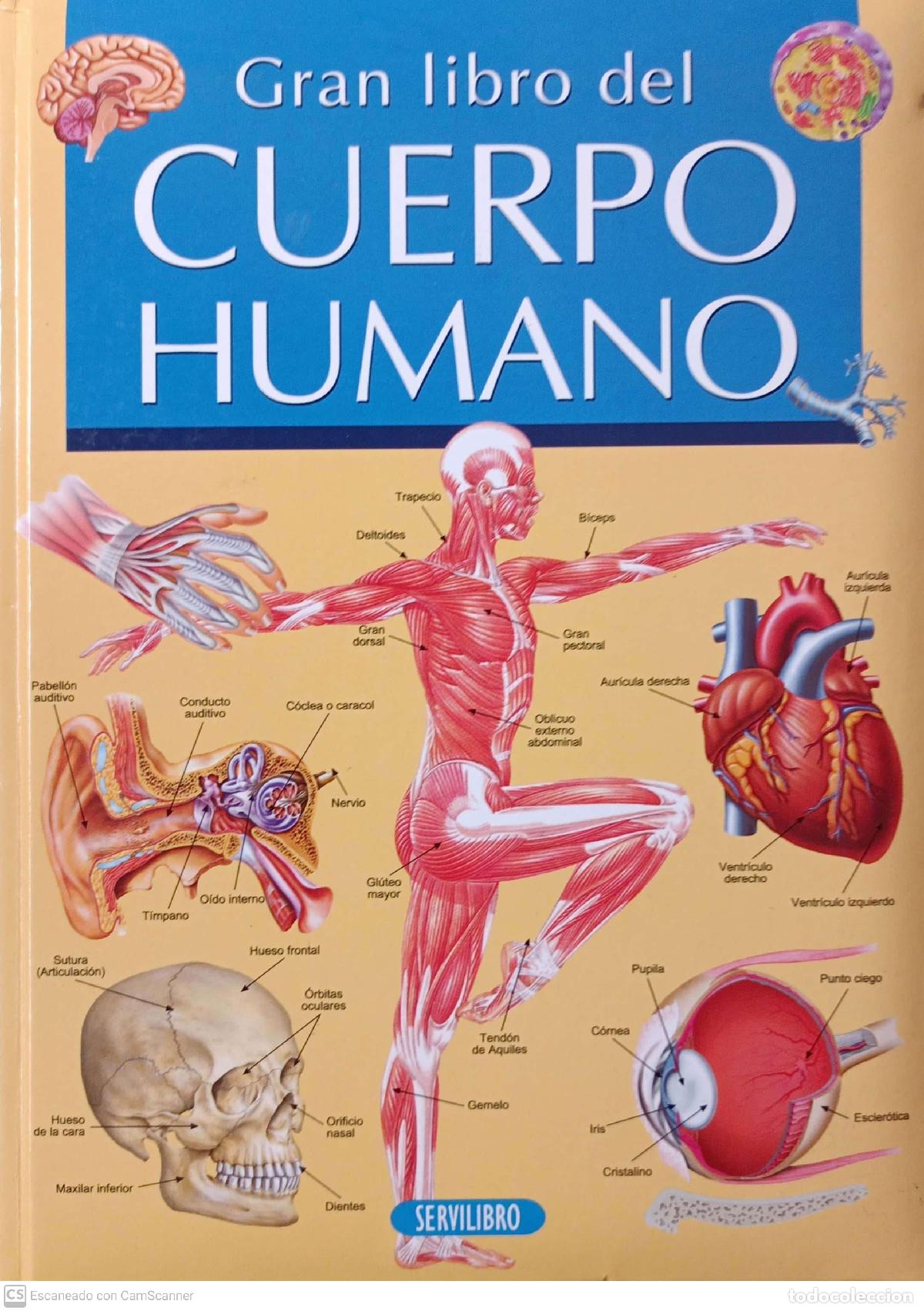 Libros: Gran libro del Cuerpo humano - Foto 1