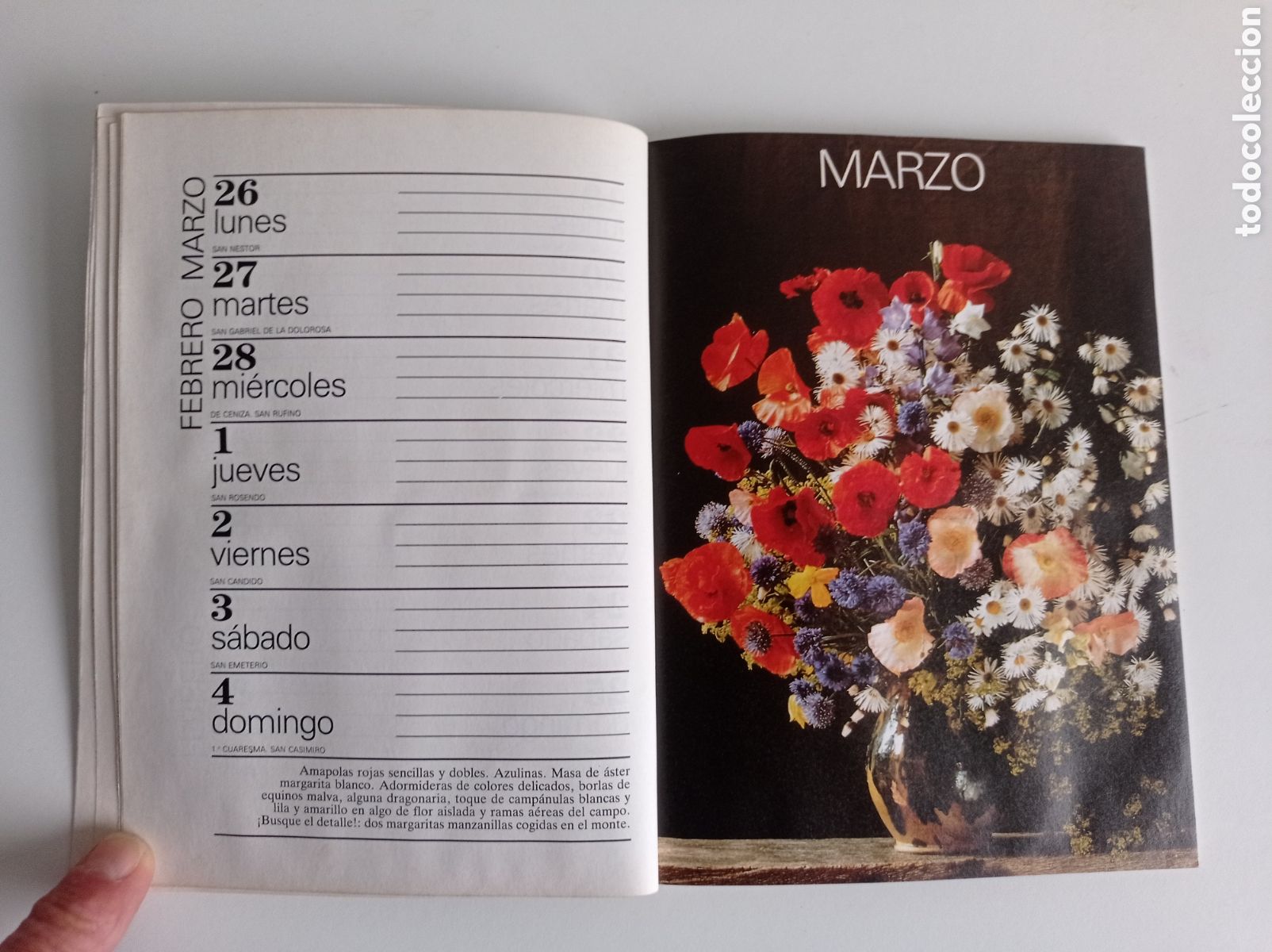 Libros: AGENDA 1990, TELVA, ESTADO ACEPTABLE - Foto 3