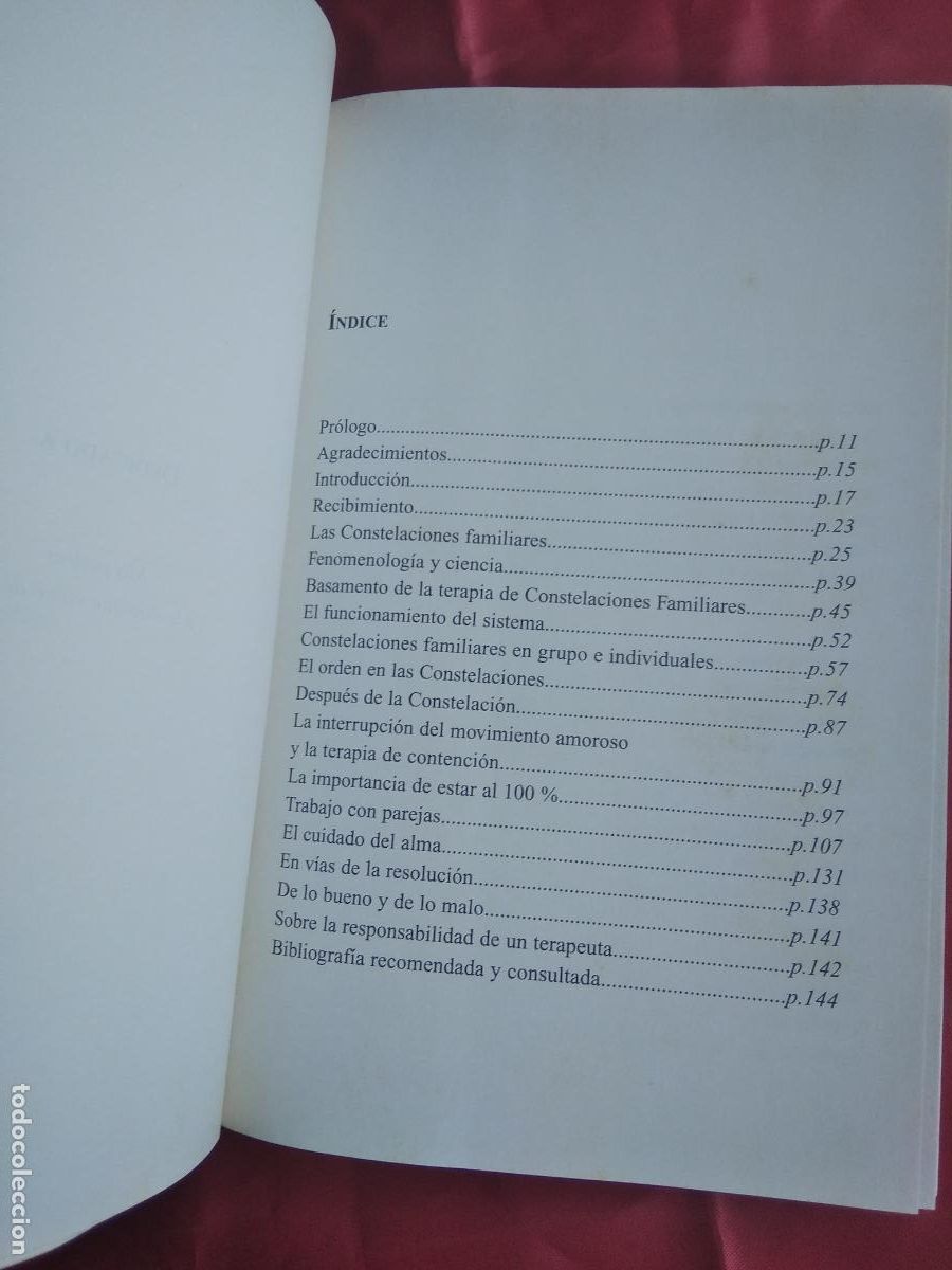 Libros: Ecos del pasado. Carola Castillo. L.11649-2130 - Foto 5