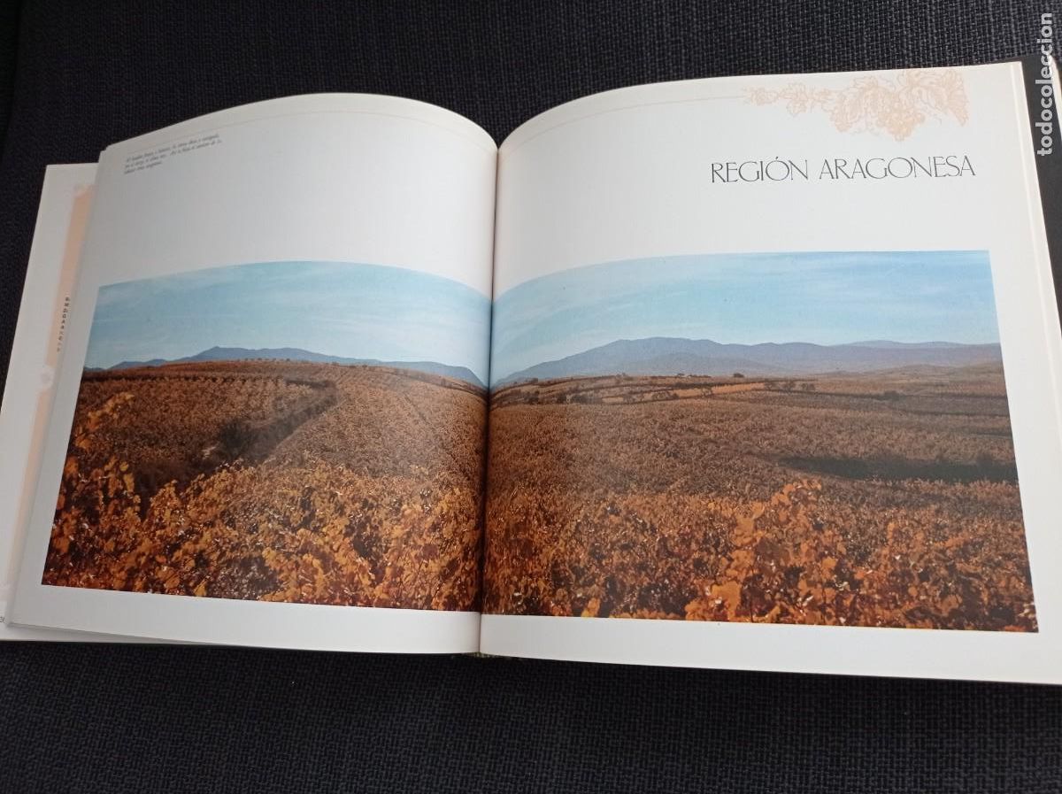 Libros: Libro Los vinos de Espa&ntilde;a. Ediciones Castell 1988. - Foto 14