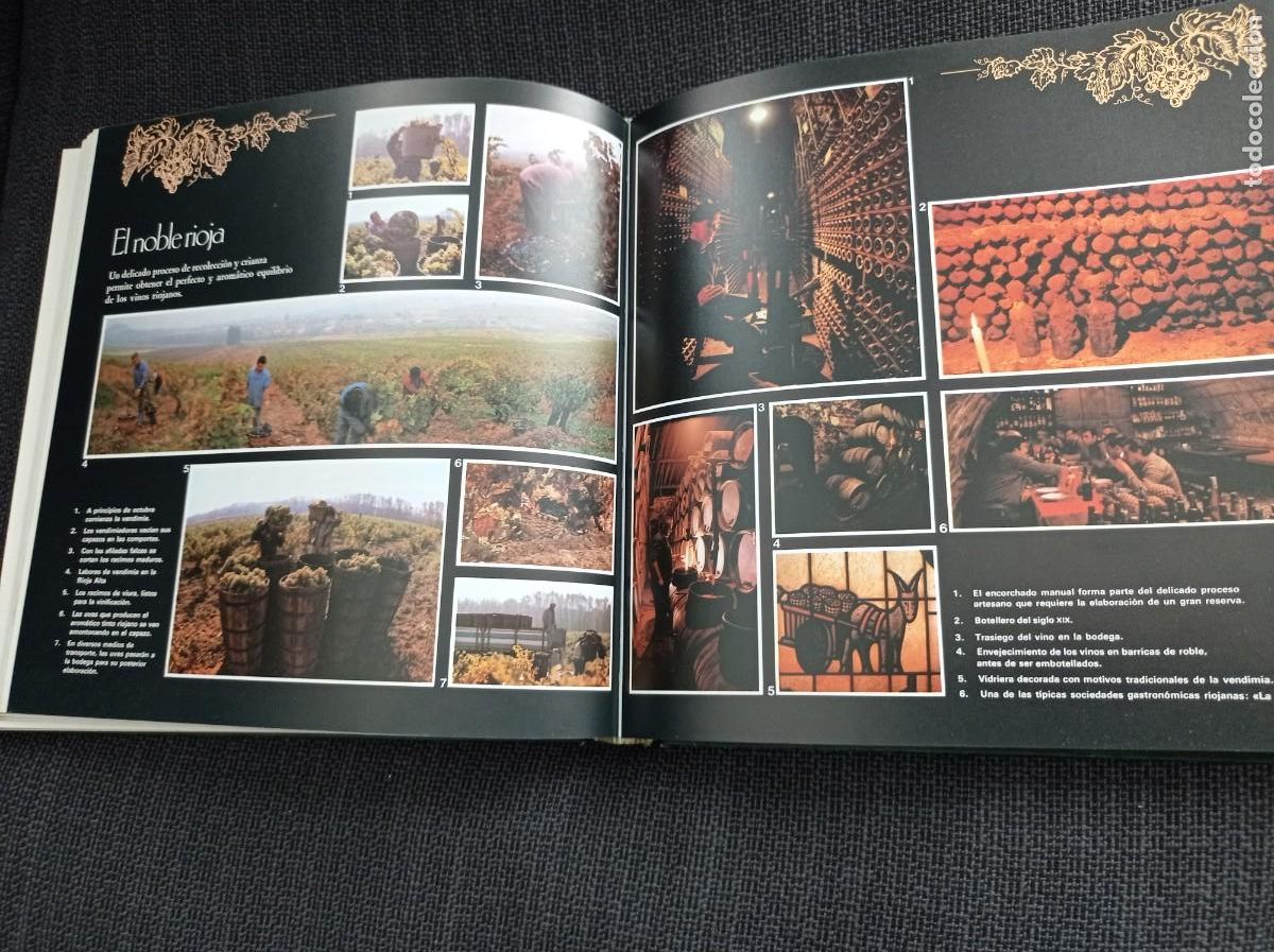 Libros: Libro Los vinos de Espa&ntilde;a. Ediciones Castell 1988. - Foto 16