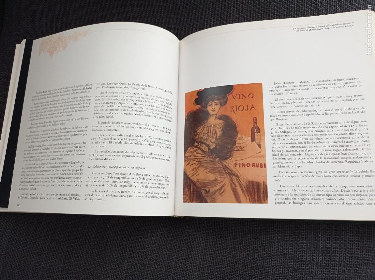 Libros: Libro Los vinos de Espa&ntilde;a. Ediciones Castell 1988. - Foto 17