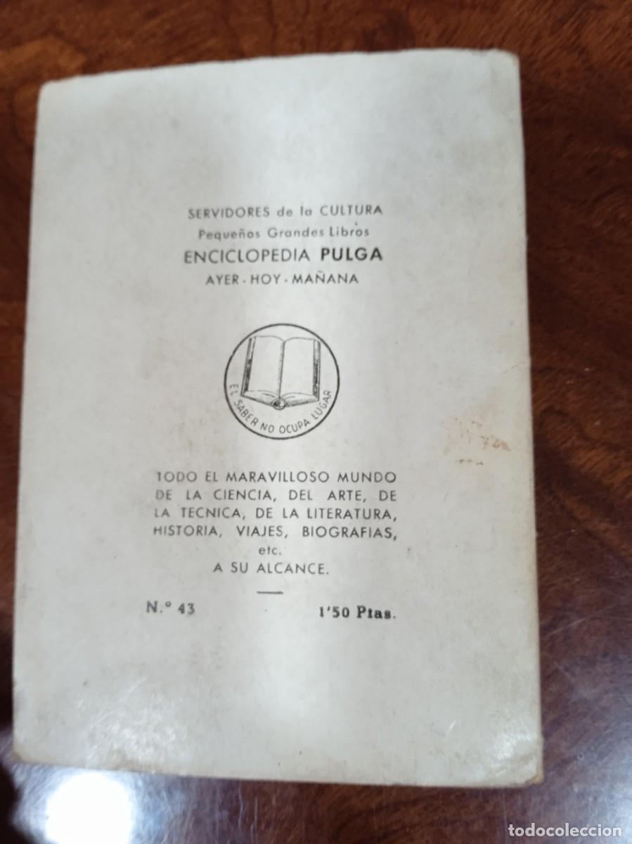Libros: TAMMY--ENCICLOPEDIA PULGA-- VERDI - Foto 4