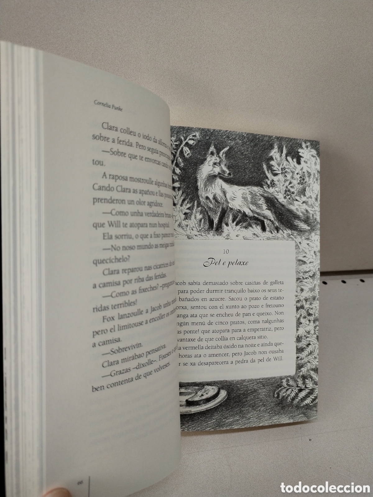 Libros: Reckless.Carne de pedra - Funke, Cornelia - Foto 2