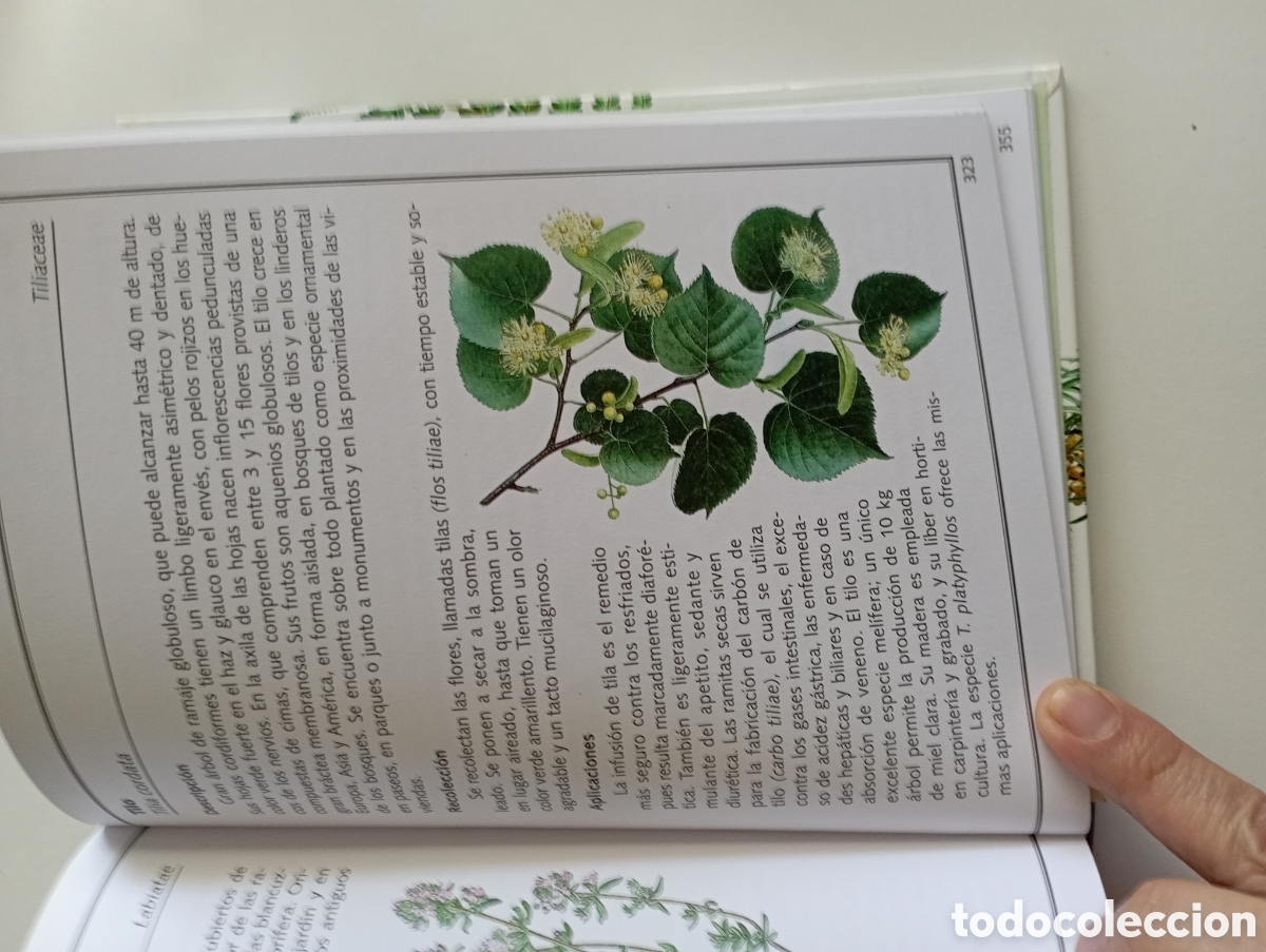 Libros: Plantas medicinales - Foto 4