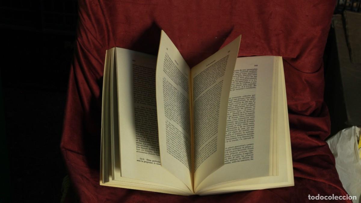 Libros: Esbozo de una nueva gram&aacute;tica de la lengua espa&ntilde;ola - Foto 4