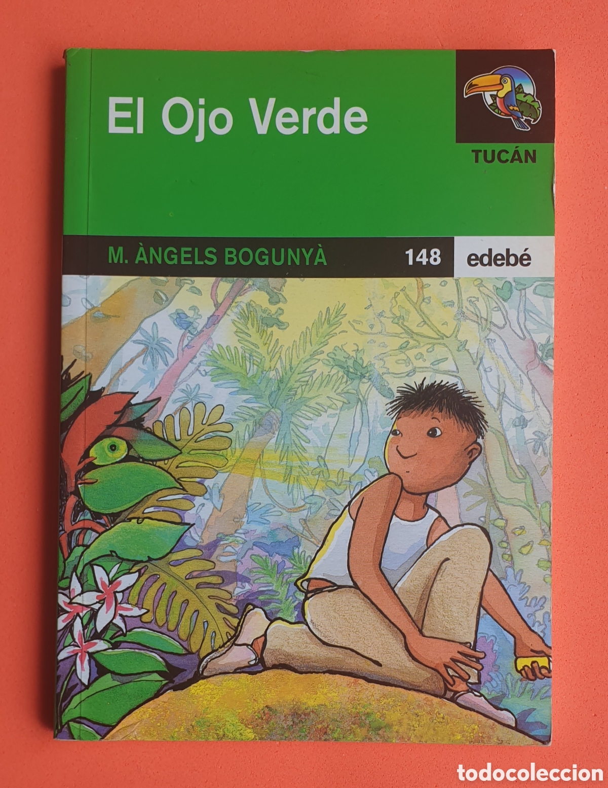 Libros: EL OJO VERDE. M. &Aacute;NGELES BOYUNYA. EDEBE - Foto 1