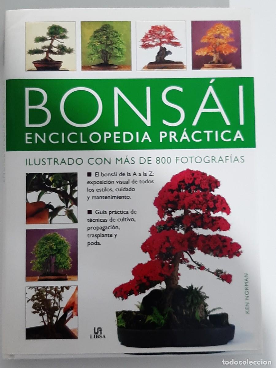 Libros: Bonsai enciclopedia pr&aacute;ctica - Foto 1