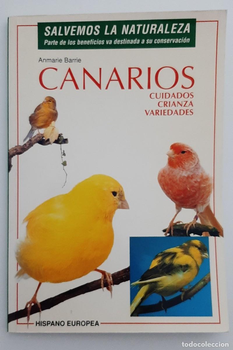 Libros: Canarios - Foto 1