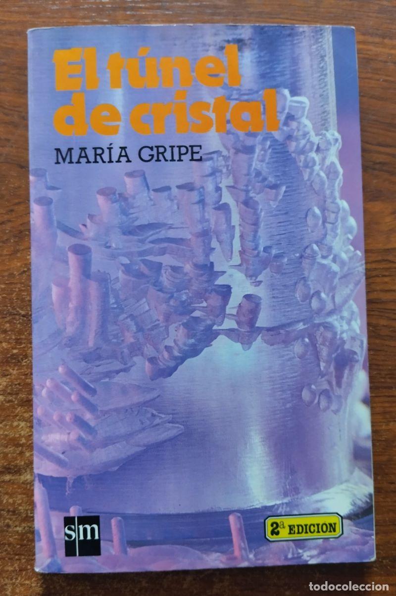 Libros: El t&uacute;nel de cristal - Mar&iacute;a Gripe - Foto 1