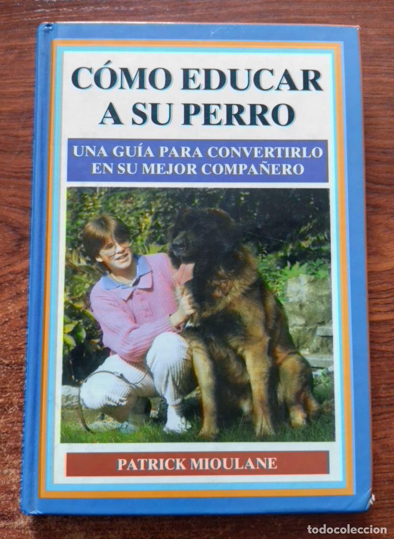 Libros: C&oacute;mo educar a su perro - Patrick Mioulane - Foto 1
