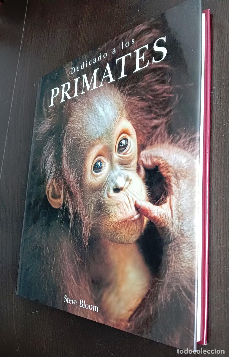 Libros: Dedicado a los primates. Steve Bloom. - Foto 1