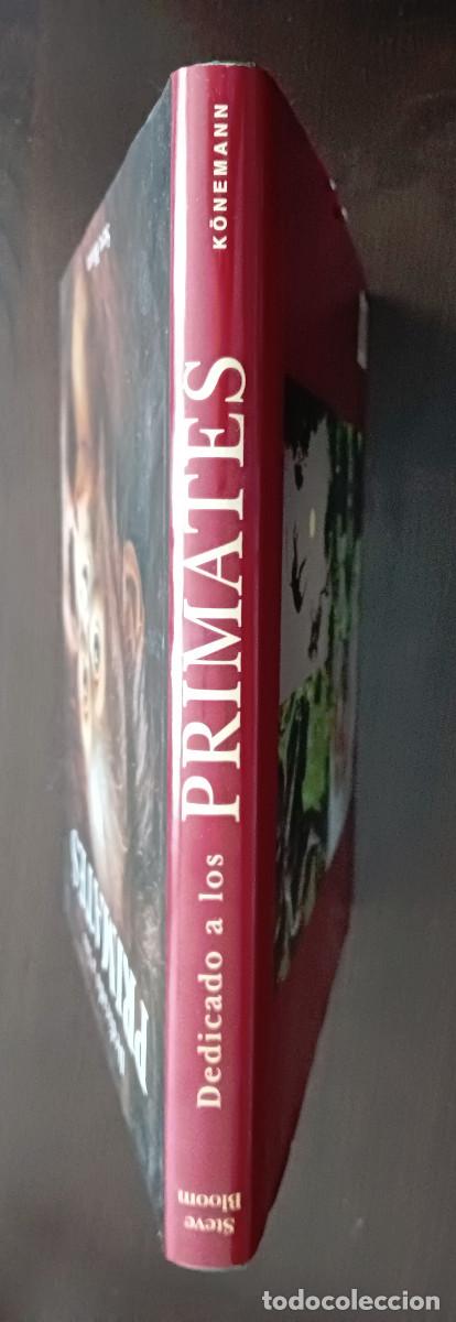 Libros: Dedicado a los primates. Steve Bloom. - Foto 2