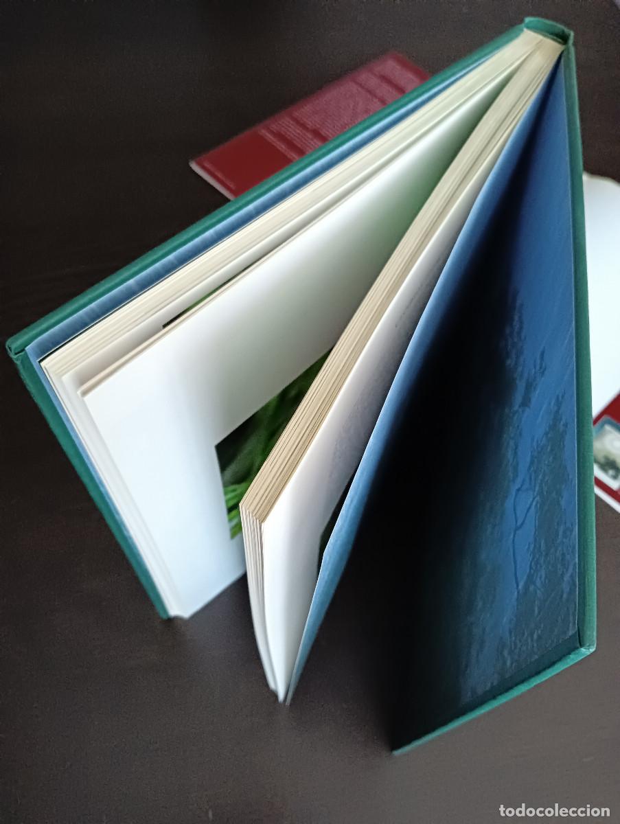 Libros: Dedicado a los primates. Steve Bloom. - Foto 4