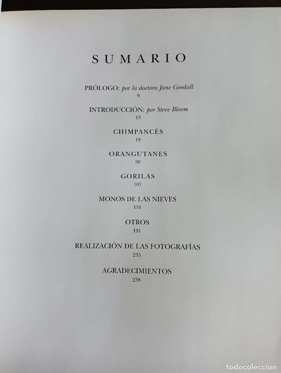Libros: Dedicado a los primates. Steve Bloom. - Foto 6