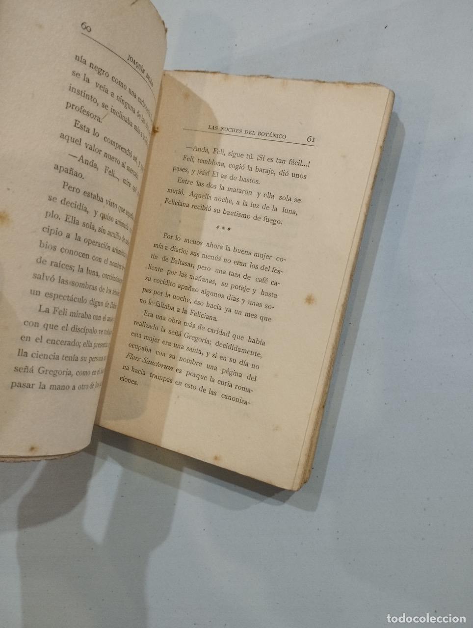 Libros: Joaqu&iacute;n Belda - Las noches del bot&aacute;nico - Foto 2