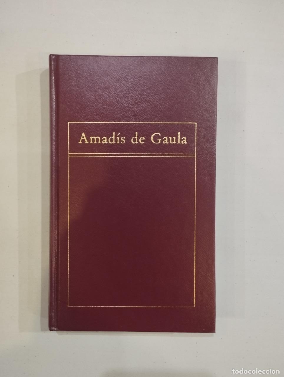 Libros: Amad&iacute;s de Gaula - Foto 1