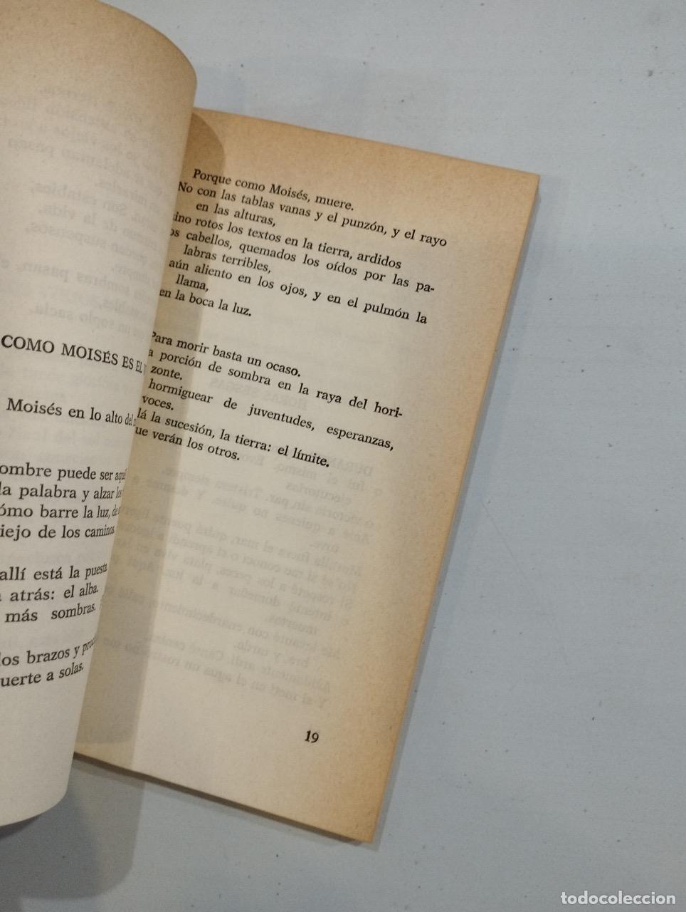 Libros: Vicente Aleixandre - Poemas de la consumaci&oacute;n - Foto 2