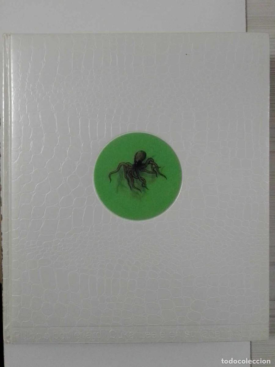 Libros: Pulpos boulevard. Ouka Leele en su laberinto. 2006 - Foto 1