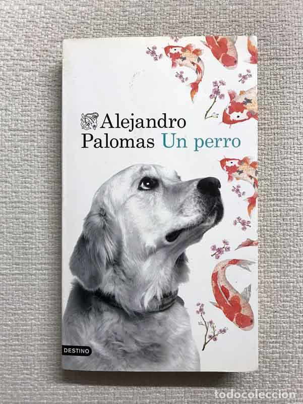 Libros: Un perro - Alejandro Palomas - Foto 1