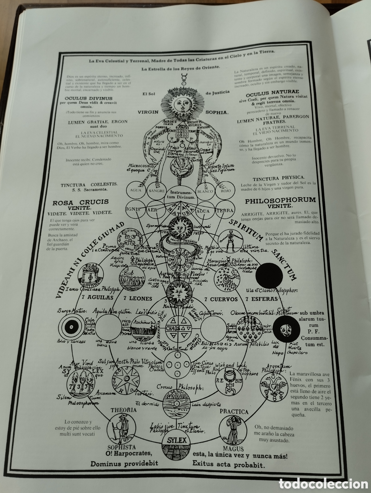 Libros: Los simbolos secretos de los rosacruces. 1985. - Foto 4
