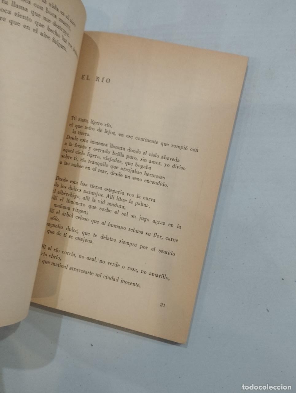 Libros: Vicente Aleixandre - Sombra del Para&iacute;so - Foto 3