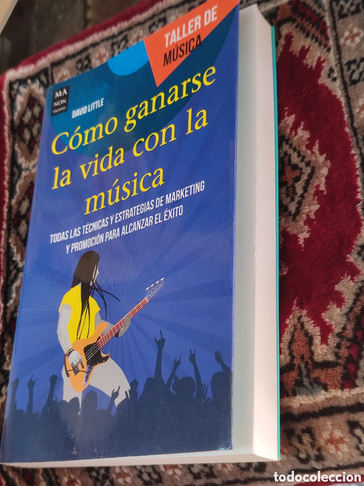 Libros: Como ganarse la vida con la m&uacute;sica David Little - Foto 5