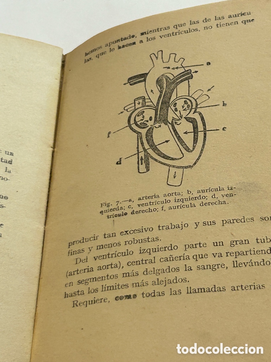 Libros: HIGIENE ELEMENTAL. INSTITUTO DE ESPA&Ntilde;A. A&Ntilde;O 1939 - Foto 5