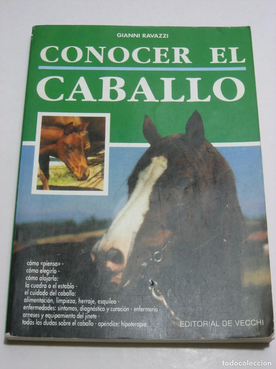 Libros: CONOCER EL CABALLO - Gianni Ravazzi - Foto 1