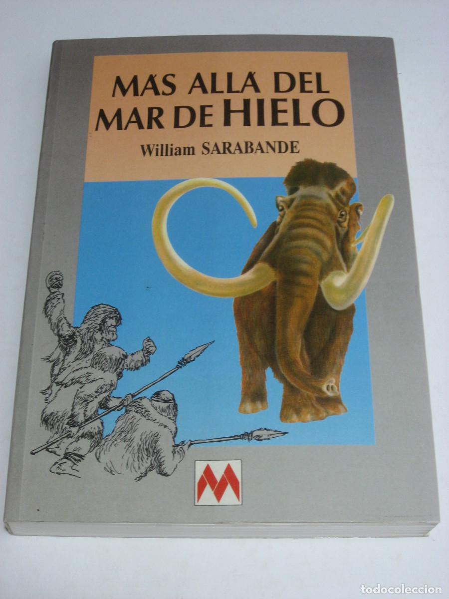 Libros: M&Aacute;S ALL&Aacute; DEL MAR DE HIELO - William Sarabande - Foto 1