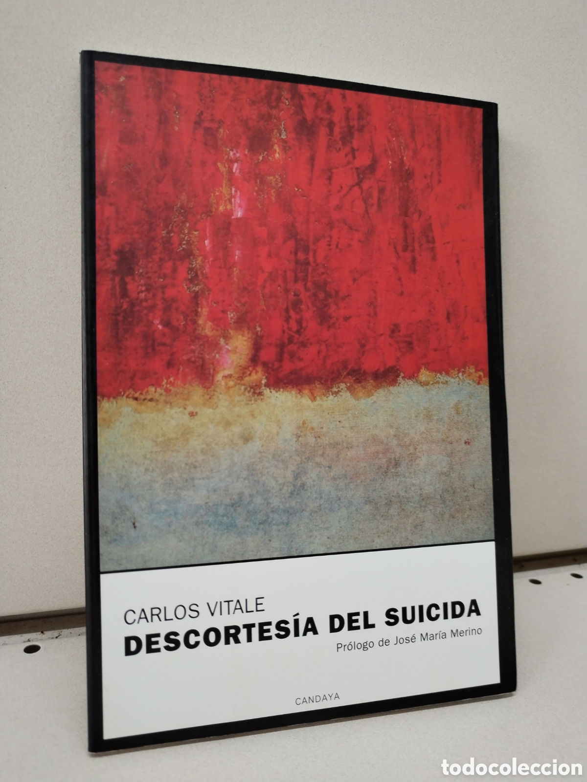 Libros: DESCORTESIA DEL SUICIDA - Carlos Vitale - Foto 1