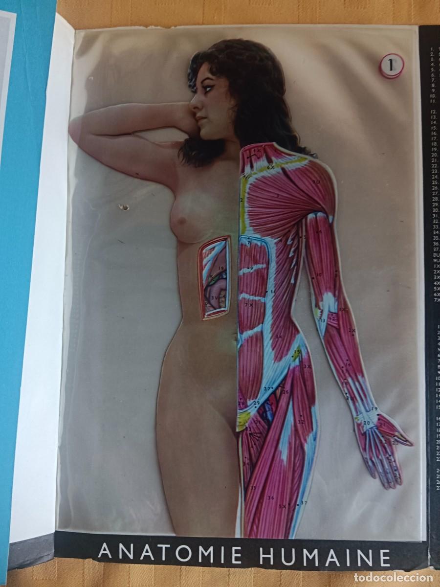 Libros: LAROUSSE MEDICAL - ILLUSTRE - VV.AA. - Foto 3