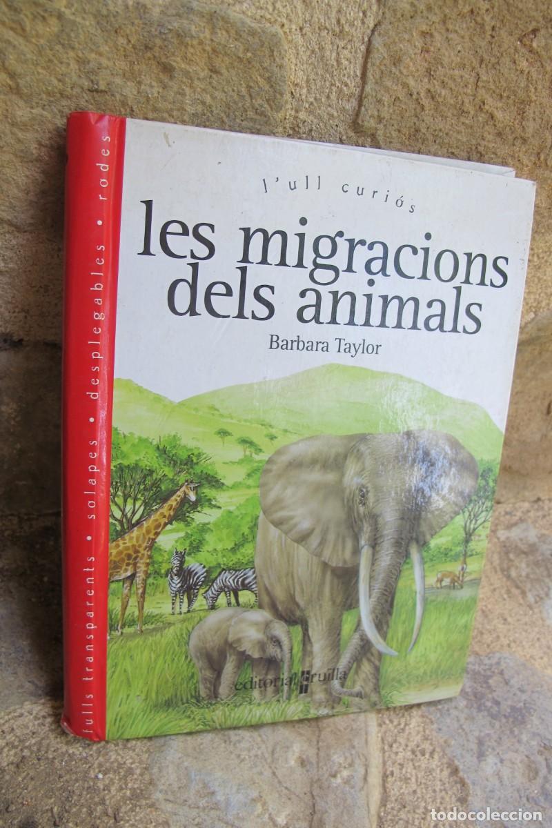 Libros: LES MIGRACIONS DELS ANIMALS. BARBARA TAYLOR. LULL CURIOS - Foto 1