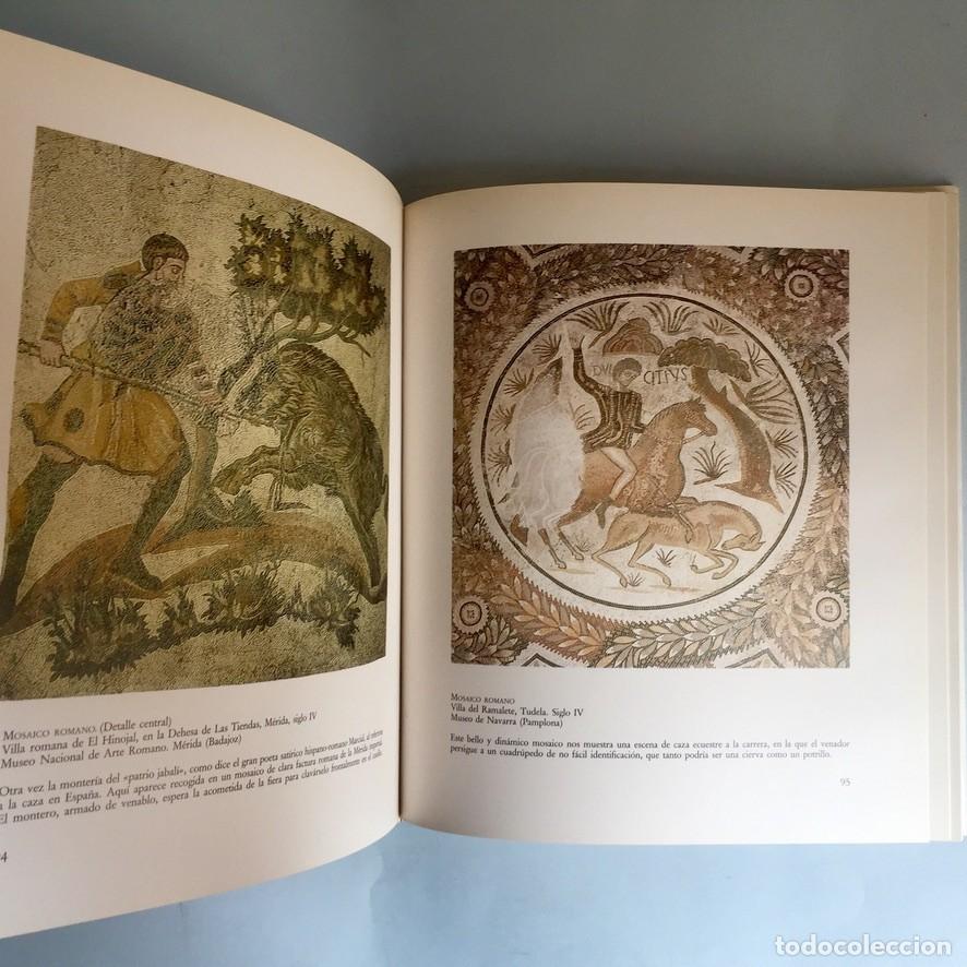 Libros: La caza en el arte espa&ntilde;ol J. E. Casariego 1982. Impecable - Foto 3