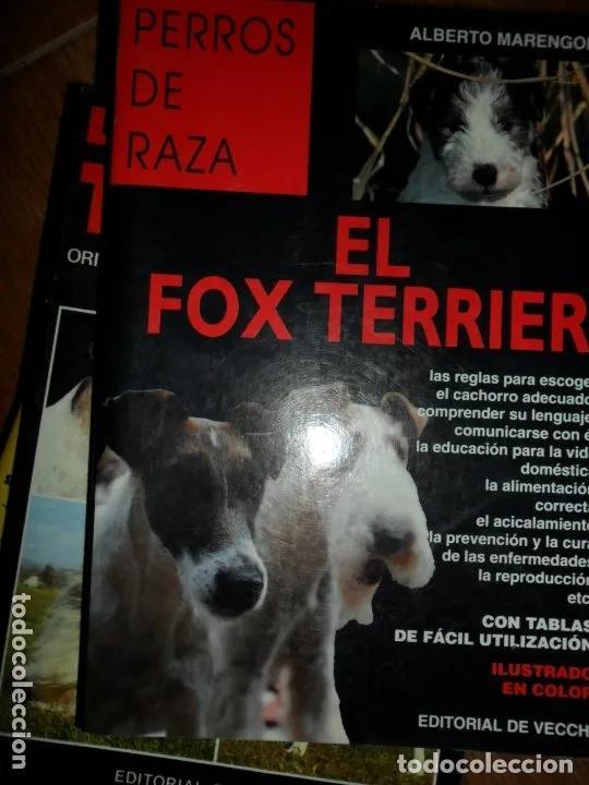 Libros: El Fox Terrier - Alberto Arengoni - Foto 1