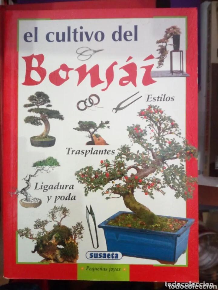 Libros: El bons&aacute;i - Equipo Susaeta - Foto 1