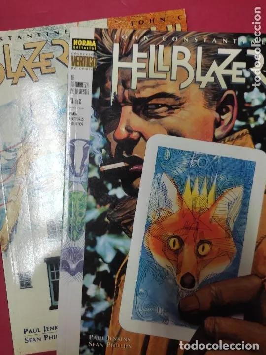 Libros: Hellblazer, La naturaleza de la bestia, John Constantine, dos de dos, completo, ed. Norma - Foto 1