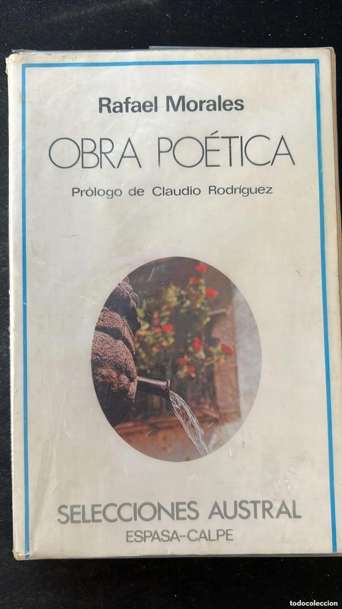 Libros: Obra po&eacute;tica Rafael Morales - Foto 1